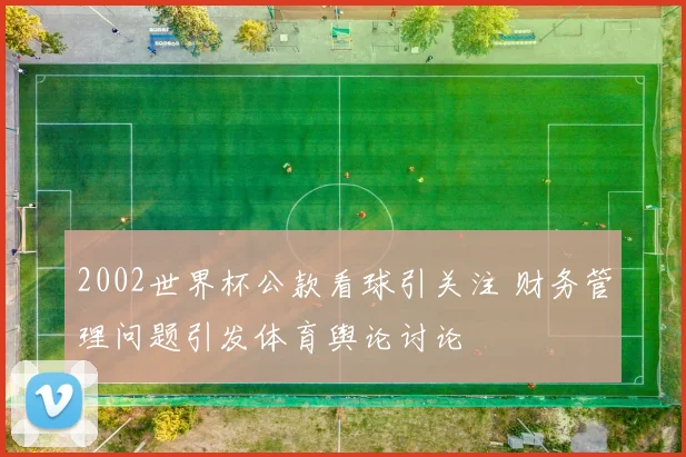 2002世界杯公款看球引关注 财务管理问题引发体育舆论讨论