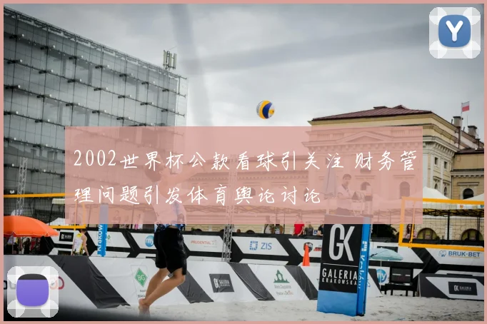 2002世界杯公款看球引关注 财务管理问题引发体育舆论讨论