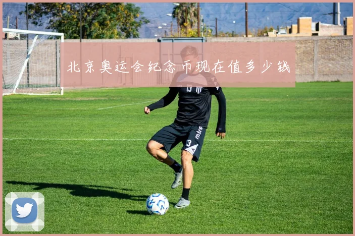北京奥运会纪念币现在值多少钱